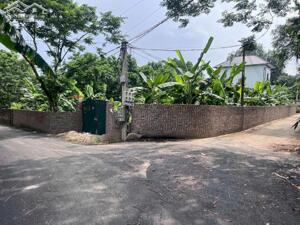 Chính chủ bán gấp 772,5m2 đất RSX Kiên Tràng, Tam Quan, Tam Đảo sát KCN Tam Dương II giá bèo 950tr