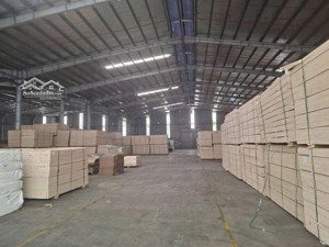 cho thuê xưởng 32000m2 tại bến cát bình dương