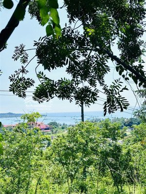 bán đất quy hoach thổ cư ở thôn lương sơn 3, vinh lương, hẻm phạm văn đồng, cách biển 100m