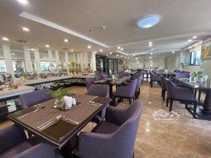 bán khách sạn phố nguyễn khánh toàn 12 tầng 1 hầm 2 thang máy 60 phòng kinh doanh 650 triệu/tháng