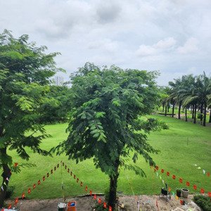 bán gấp, rẻ nhất thị trường chung cư mỹ viên, 6,5 tỷ, 95m2, 2pn, 2wc, full nội thất