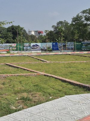 phân lô ô tô tránh, tiềm năng phát triển mạnh, trung tâm tổ hợp các trương đh lớn, cnc hòa lạc....