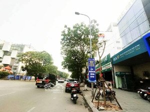 vip! bán nhà phố khúc thừa dụ, cầu giấy, dt 179m2/mt 8m/7 tầng, ô tô 25m, dòng tiền. giá 166 tỷ