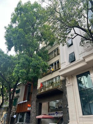 bán nhà mặt phố số 156 triệu việt vương quận hai bà trưng - hà nội - 176m2 - 12 tầng - mt 7.7 mét.