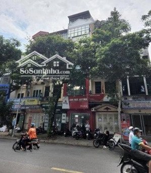 bán nhà mặt phố trần quốc hoàn, mặt tiền 7,5m, dt 85m2 x 5t, số nhà 24h + 26g, giá 65 tỷ