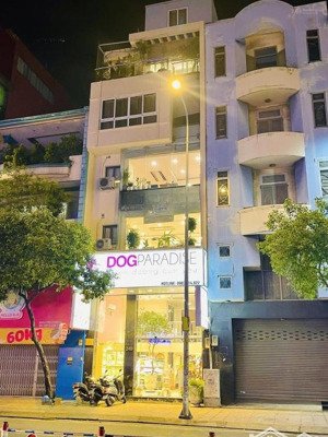 bán gấp nhà mặt tiền trần hưng đạo 5tầng 4x16 vỉa hè 6m ngay công an quận 5 chỉ 27 tỷ