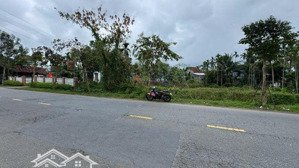 chủ cần tiền bán nhanh lô mặt tiền đường trần nhân tông - hội an. 196m2 - ngang 8m - 6 tỷ