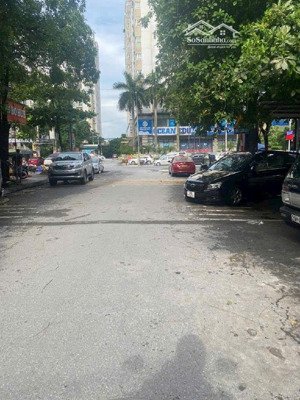 quỹ đất man bồi gốc găng ba la . giá tốt