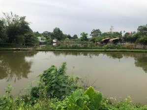 đất nghỉ dưỡng ba vì 3054m2 sở hữu ngay trước khi tăng giá! 2tr8/m²