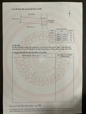 đất bạch mai, đồng thái, an dương