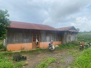 cần bán lô đất sào 20m mặt đường nhựa, ngay ngõ vào cao tốc sài gòn đà lạt lâm đồng