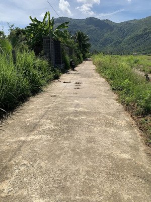 bán đất tại xã diên toàn, diên khánh, khánh hòa, 5,085 tỷ, 565m2 đẹp xuất sắc