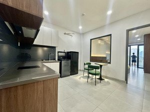 căn hộ 1pn 50m2 ban công lớn đối diện công viên lê văn tám quận 1