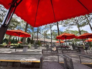 siêu phẩm mt đường hồ nghinh - đoạn đẹp sát dương tự minh - cách biển chỉ 200m - 239m2 - giá 7x tỷ