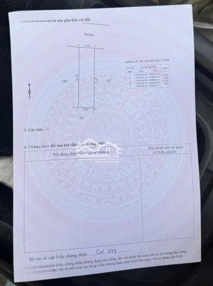 chính chủ gửi bán đấu giá tân dân ngay cạnh trường cấp 1 - 2, khu kinh doanh sầm uất