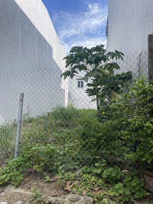 siêu hiếm lô đất duy nhất- đối diện trường học-kinh doanh bất chấp-300m ra biển-tiềm năng vô bờ