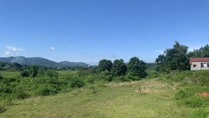 bán đất bám suối view cánh đồng tại lương sơn rất đẹp