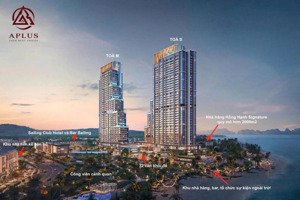 tổng hợp thông tin dự án aria bay