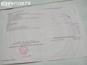 6HA CÓ CAO SU TRỒNG SẴN GIÁ 2 TỶ