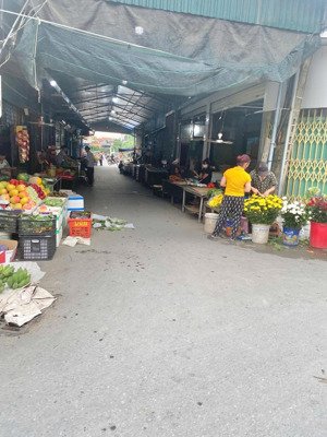 tài chính nhỉnh 2 tỷ, tìm đâu ra lô đất 54,6m vuông vắn như này khu dân giàu cam quất cảnh phi