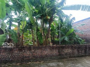 bán đất 144m2 tại đường 35, minh phú, sóc sơn, hà nội, 2,9 tỷ