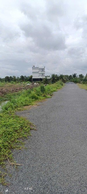 bán đất giá rẻ tại bình chánh 2.500m2 mt kênh 8