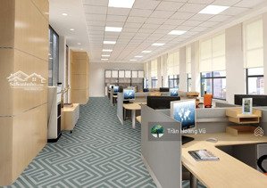 bán văn phòng 9 tầng ô tô tránh vạn bảo, liễu giai, doanh thu ~2 tỷ/năm, dt 89m2, mt 5m