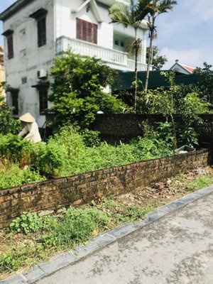 bán đất tại xã mai lâm, đông anh, hà nội, 42 m2, giá tốt hàng hiếm