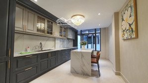 bán nhà mặt phố đinh công tráng, 38 tỷ, 100m2, nhiều tiện ích, đẹp tại q1, hcm
