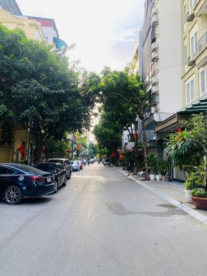 hoa hậu mới nhất 7 tầng, thang máy, gara ô tô, phân lô, 35m, 9 tỷ, vườn hoa hồng hà, ba đình