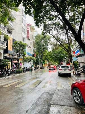 bán nhà mặt phố triệu việt vương dt 110m 7 tầng,có thang máy mt rộng gần 6m giá chào cực tốt.