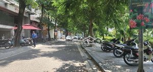 toà chdv- lạc long quân - dt 40m -7 tầng thang máy - 10,5 tỷ - ngõ nông.