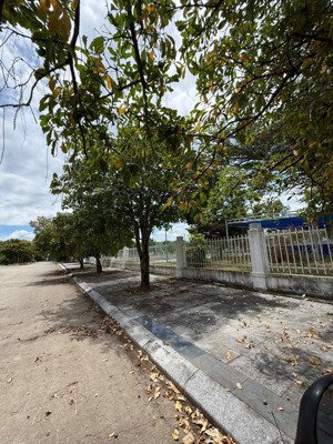 mua bán đất nền kđt golden hill giá đầu tư tốt nhất thị trường!