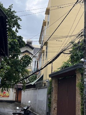 bán gấp nhà có sân trước và sân sau khu sân bay hxh bạch đằng, phường 2, quận tân bình