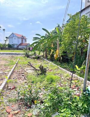 HÀNG HIẾM trục liên thôn Lâm Động (cũ), Thuỷ Nguyên, Hải Phòng giá 3,1 tỉ