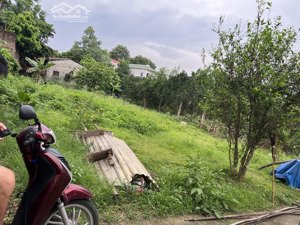 chính chủ bán đất kim quan- thạch thất: dt 351m/mt 12.3m giá 7 tỉ