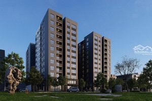 sở hữu căn hộ noxh golden point chỉ từ 196tr. cơ hội vàng an cư tại ngay cạnh trung tâm hải phòng