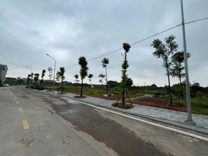 bán 48.5m đất thôn đoài nam hồng đông anh hà nội,đường xe 7 chõ ,sát đấu giá mới