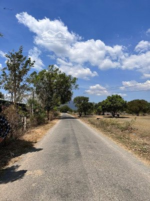 bán đất mt đường 718, thôn 1, hàm cần, hàm thuận nam giá 590tr