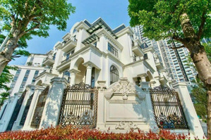 biệt thự đơn lập trung tâm mỹ đình - siêu phẩm giới hạn