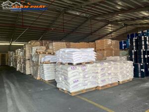 TOÀN PHÁT LOGISTICS – GIẢI PHÁP KHO BÃI HIỆU QUẢ CHO DOANH NGHIỆP