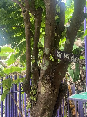 bán đất tại xã lam điền, huyện chương mỹ. 15 triệu/m2, 150m2, giá ưu đãi hot!