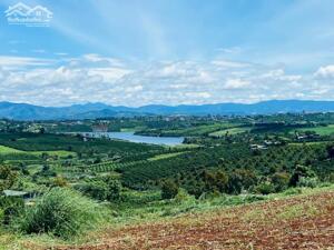 Deal siêu tốt view hồ Phúc Thọ-Lâm Hà DT 1000m2 sẵn 100m2 thổ cư chỉ 850tr