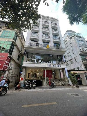 dòng tiền 300tr/th - bán 70 chdv đường quang trung, gò vấp - nh 11.5x24m, hầm 7 tầng pccc - 50 tỷ