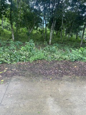 đất phân khúc giá rẻ chỉ 1,8 tỷ cho quý ac sở hữu tại lương sơn hòa bình diện tích 114m2 52 thổ cư