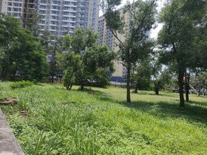 cho thuê 2000m2 đất trống gần khách sạn malibu vũng tàu