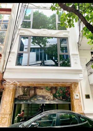 cho thuê nhà mặt phố phan phù tiên 60m2 x 7 tầng, mt 5m thông sàn, riêng biệt, giá 50tr/tháng