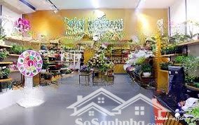 cho thuê nhà mặt phố nguyễn đình chiểu: diện tích 100m, mặt tiền 5m, thông sàn, riêng biệt