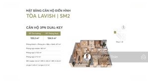 căn hộ dual key 155m2 chỉ 70tr/m2 mua 1 được 2 đầu tư sinh lời đa công năng vốn ban đầu chỉ 3,7 tỷ