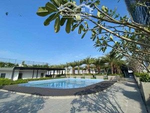 cho thuê cc lavida plus, nguyễn văn linh, tân phong, q7, tp.hcm, 11,5 triệu, 79,99m2 2pn 2wc